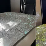 Experiencia de divulgación científica inició en Valdivia su recorrido por el sur de Chile