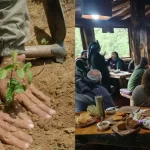 Familias mapuches e instituciones comparten experiencias de conservación del bosque nativo en Panguipulli