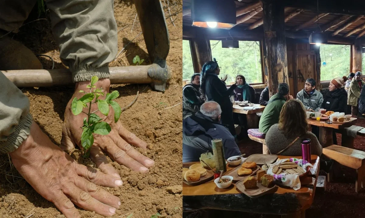 Familias mapuches e instituciones comparten experiencias de conservación del bosque nativo en Panguipulli