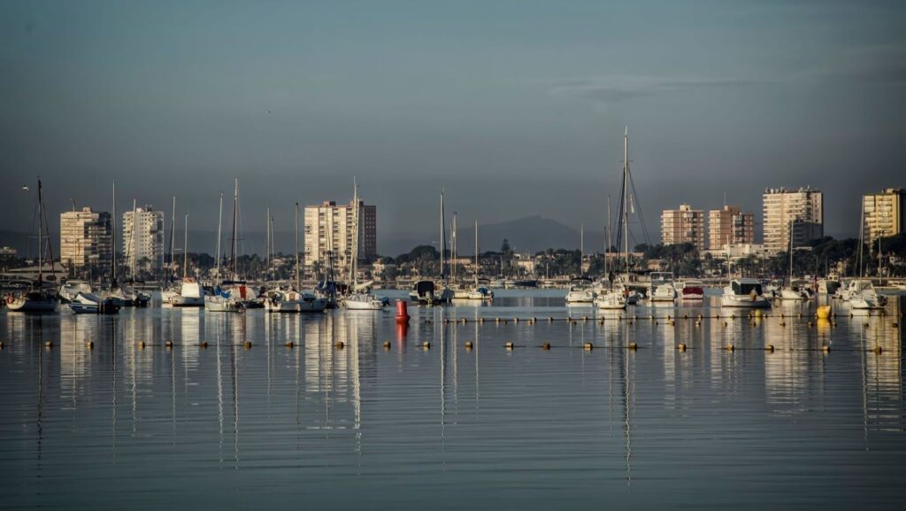 Filtros verdes del Mar Menor: la barrera contra los nitratos recibe luz verde