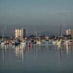 Filtros verdes del Mar Menor: la barrera contra los nitratos recibe luz verde