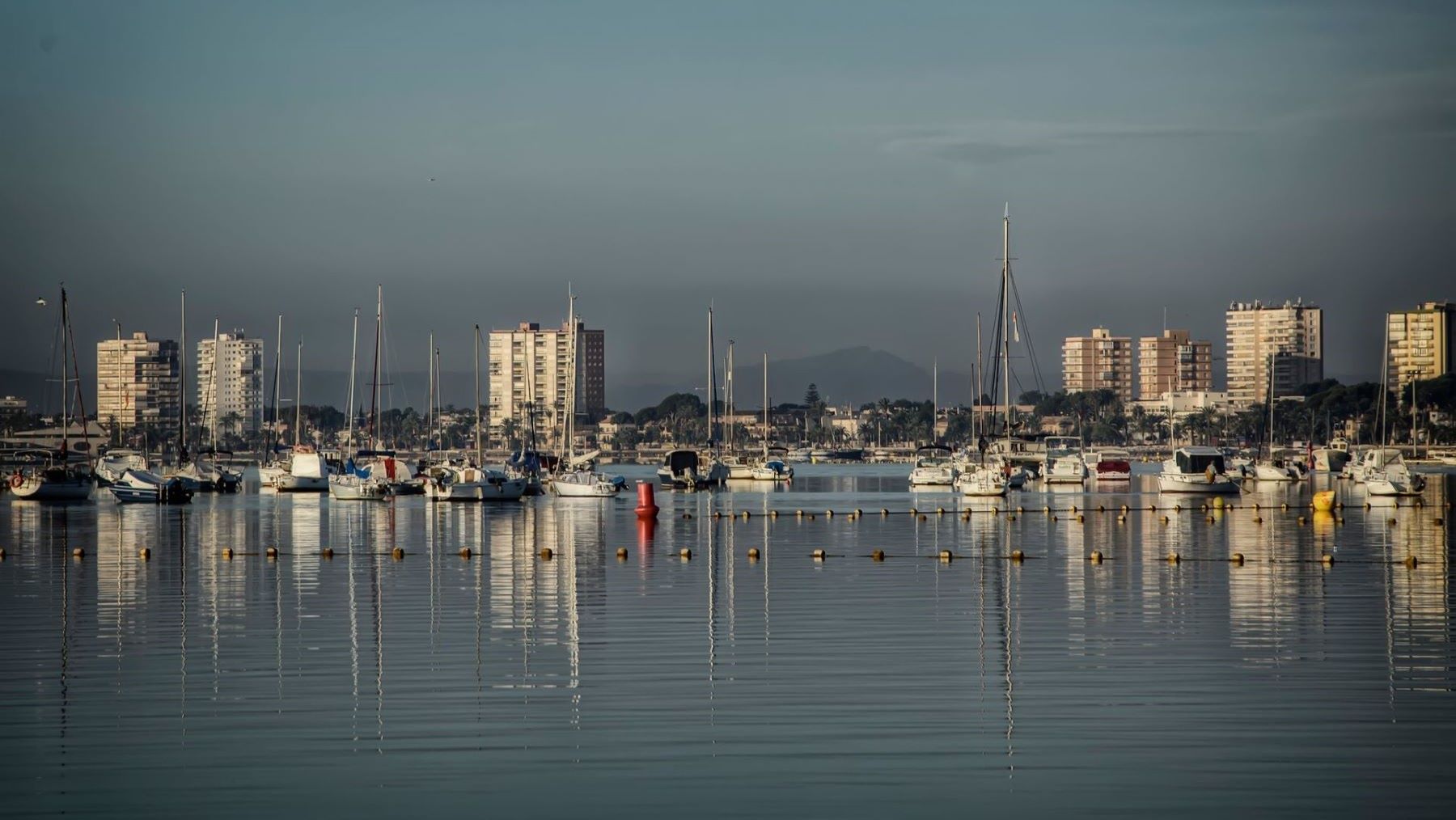 Filtros verdes del Mar Menor: la barrera contra los nitratos recibe luz verde
