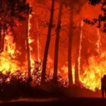 Incendios forestales en Europa: 634.473 hectáreas arrasadas y el fuego duplica ya la media histórica – ECOticias.com