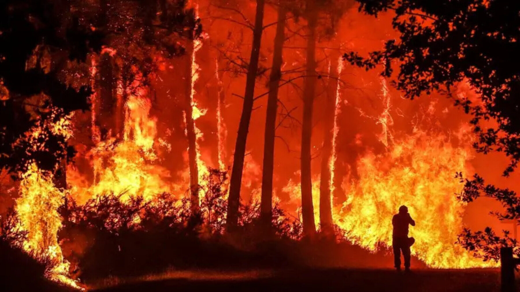 Incendios forestales en Europa: 634.473 hectáreas arrasadas y el fuego duplica ya la media histórica – ECOticias.com
