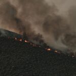 Incendios forestales: la advertencia sobre los montes abandonados