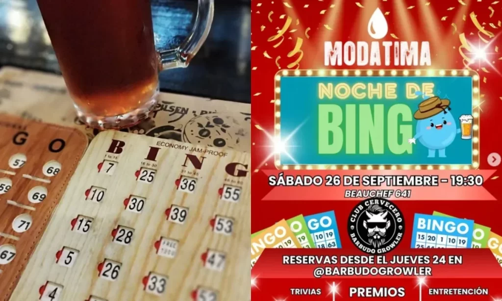 Invitan a jornada de bingo y trivias en Valdivia para apoyar acciones de Modatima Los Ríos