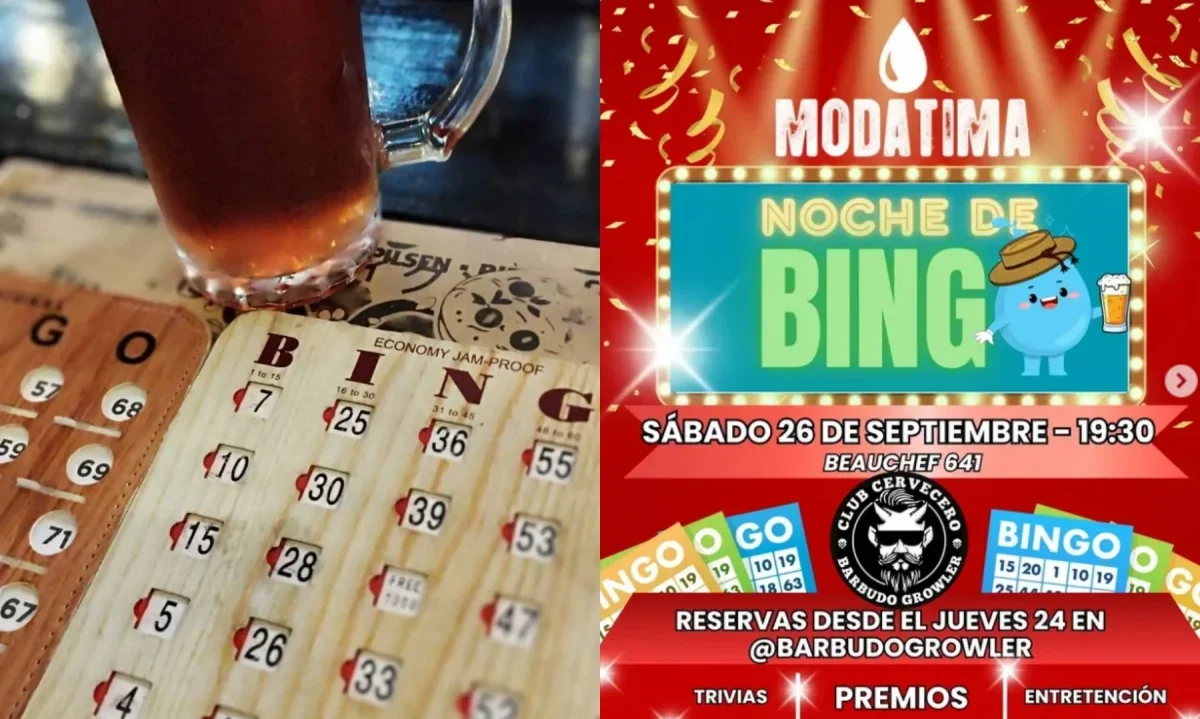 Invitan a jornada de bingo y trivias en Valdivia para apoyar acciones de Modatima Los Ríos