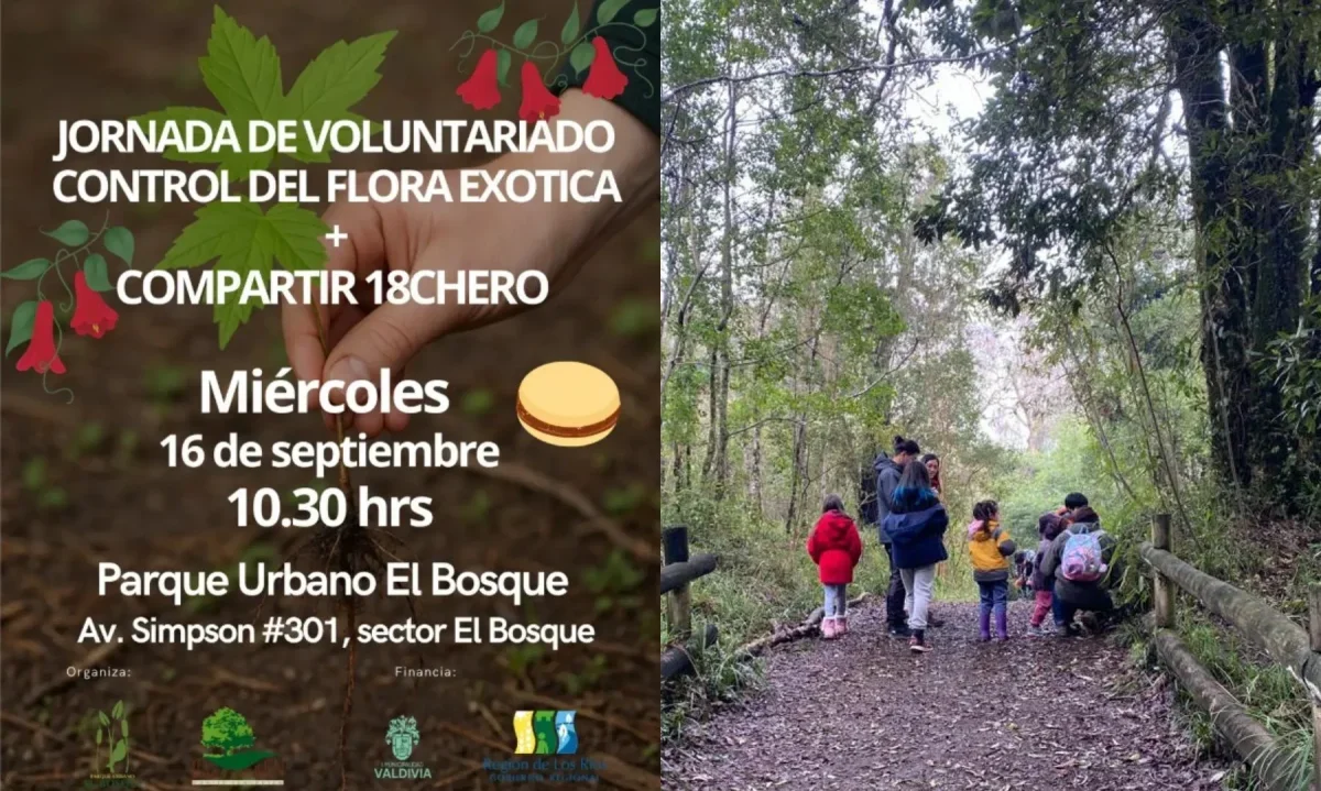Jornada de voluntariado en Valdivia combinará conservación y tradiciones dieciocheras