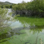 La contaminación de A Limia vuelve a los tribunales: exigen frenar las macrogranjas hasta recuperar el agua