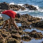 La crisis fronteriza amenaza la biodiversidad de Ceuta, según los ecologistas
