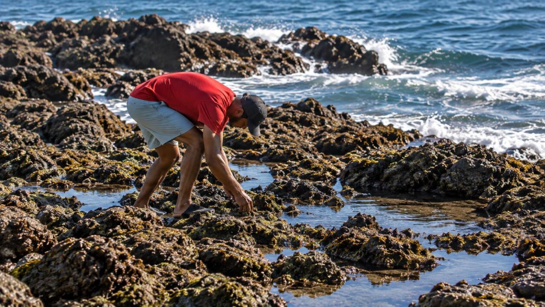 La crisis fronteriza amenaza la biodiversidad de Ceuta, según los ecologistas