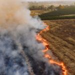 La parálisis ambiental en España deja las leyes verdes en el aire ante las elecciones