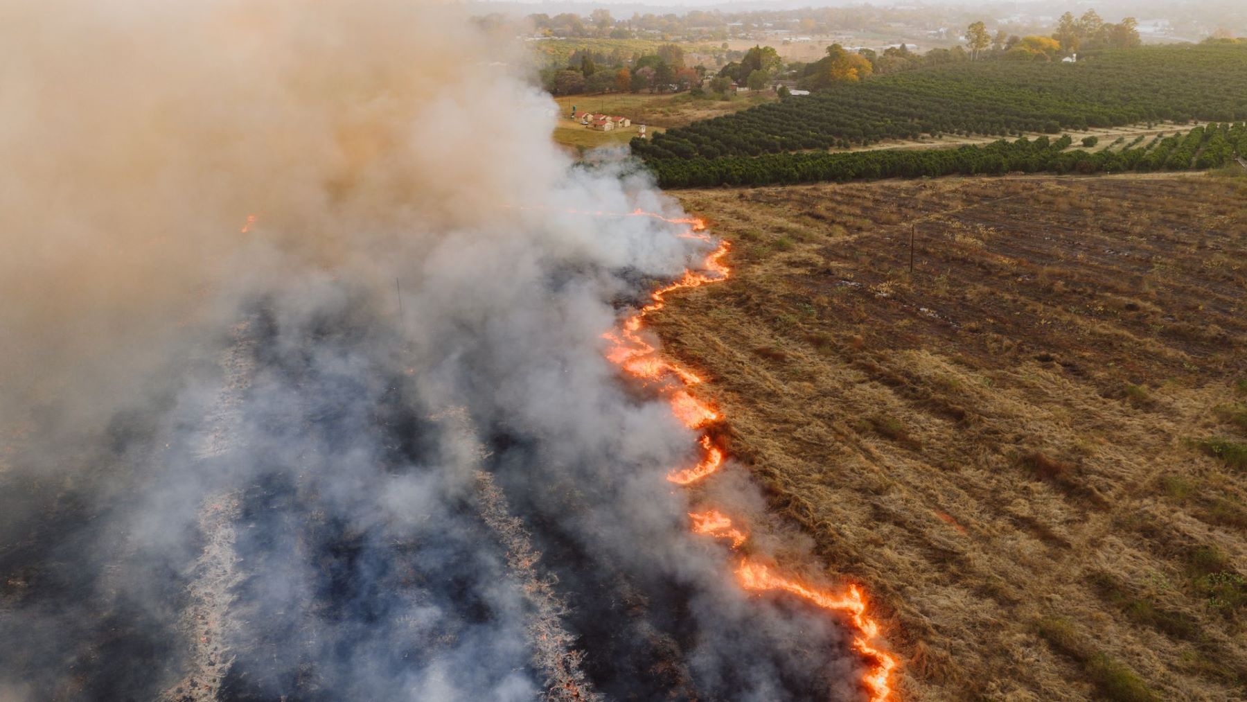 La parálisis ambiental en España deja las leyes verdes en el aire ante las elecciones