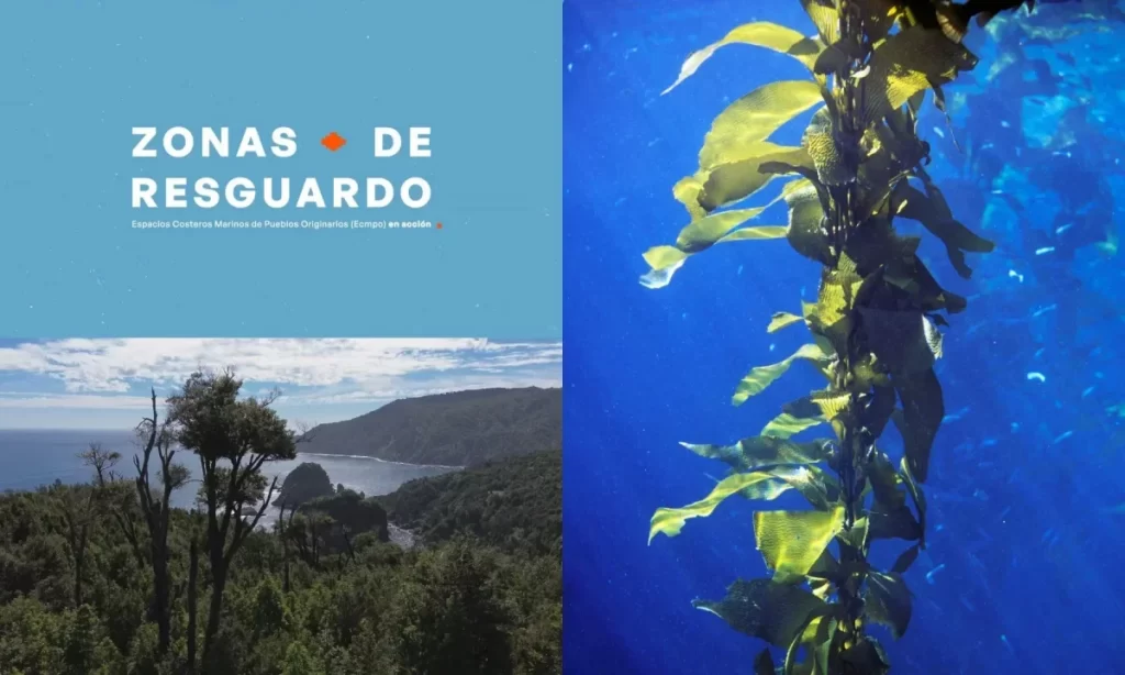 Miniserie visibiliza a los Espacios Costeros Marinos y su aporte en conservación