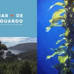 Miniserie visibiliza a los Espacios Costeros Marinos y su aporte en conservación