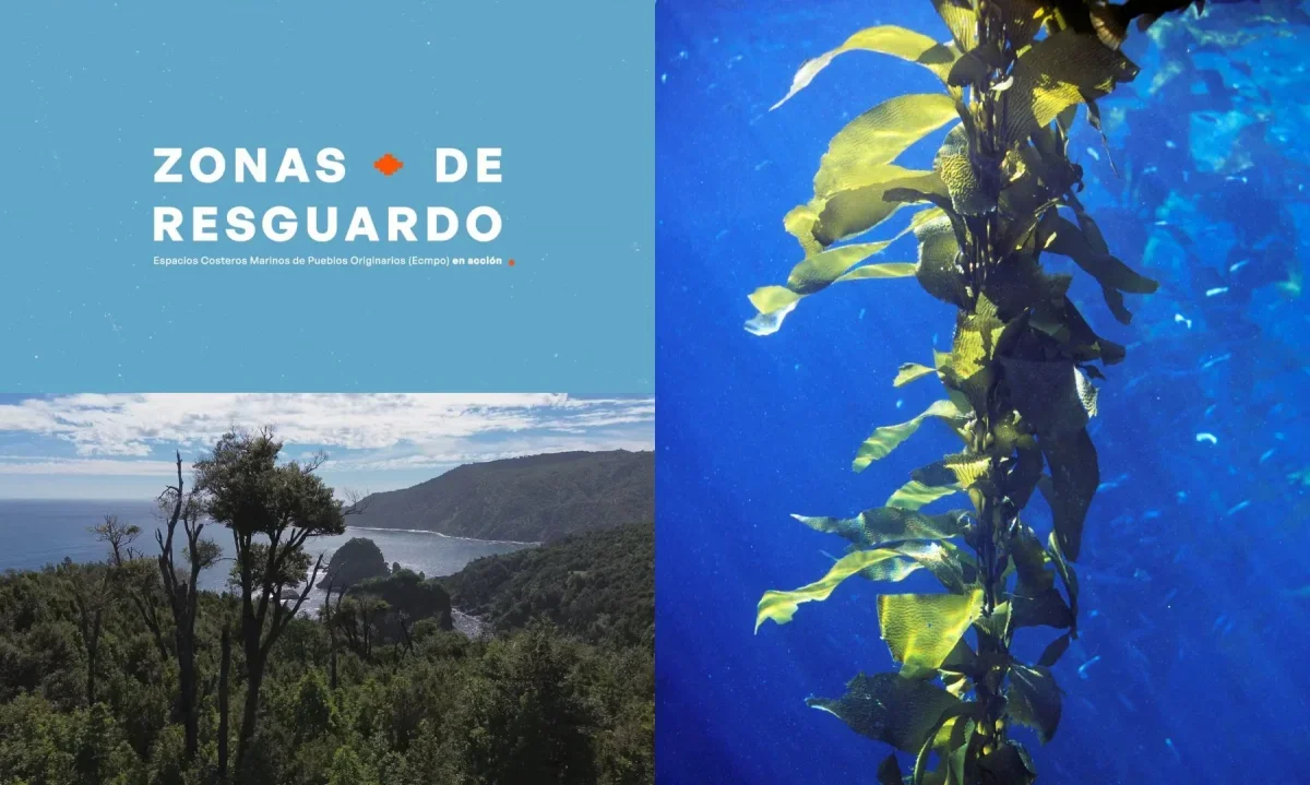 Miniserie visibiliza a los Espacios Costeros Marinos y su aporte en conservación