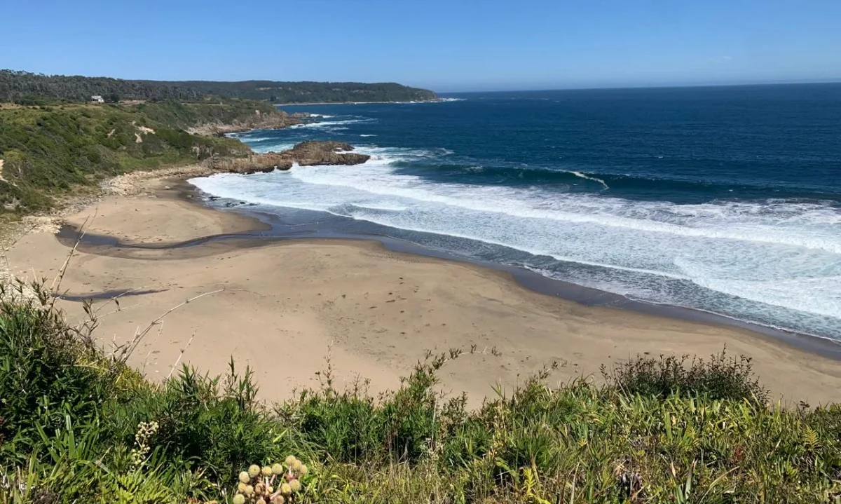 Nuevo hito para la conservación: alistan inauguración de refugio marino en la costa de Corral