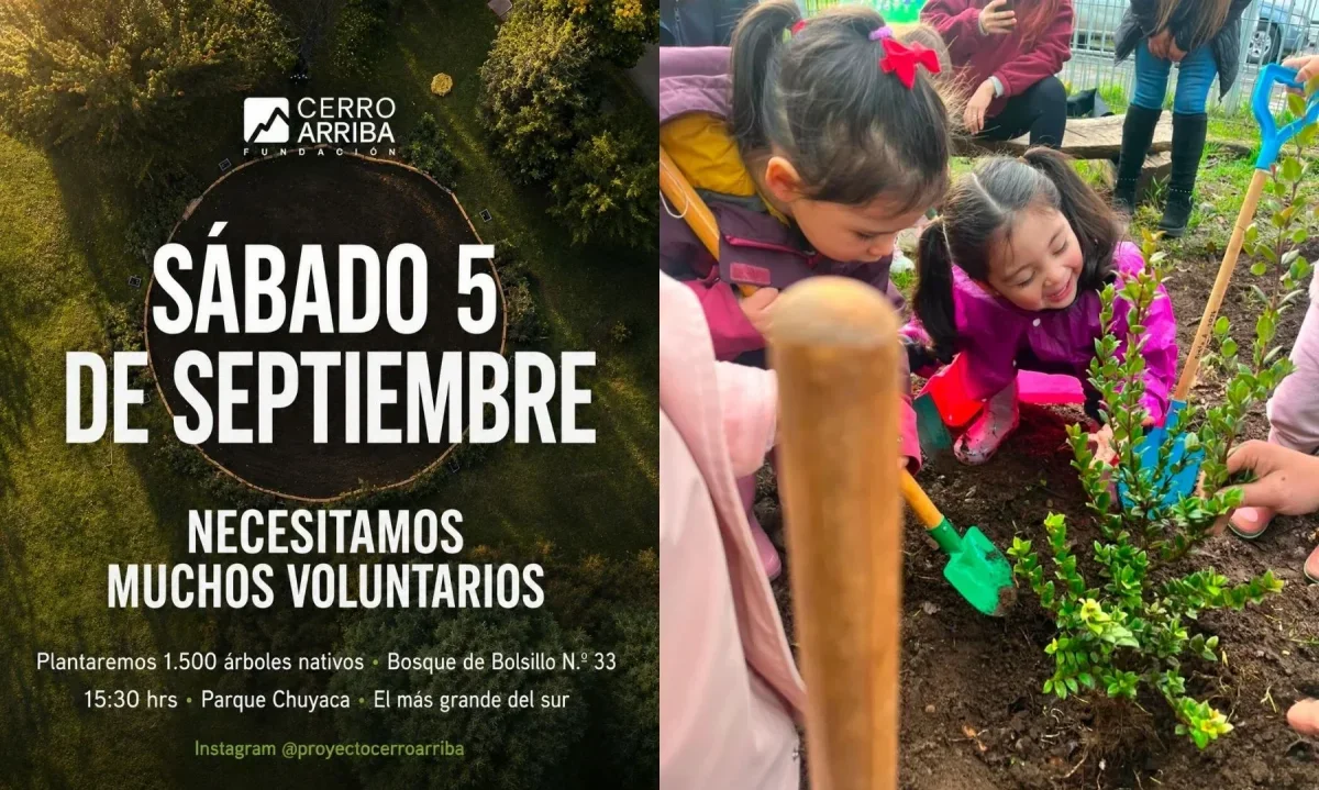 Osorno impulsará la creación del bosque de bolsillo más grande del sur del país