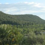 Parque Natural Sierra de Escalona: el verdadero reto empieza ahora