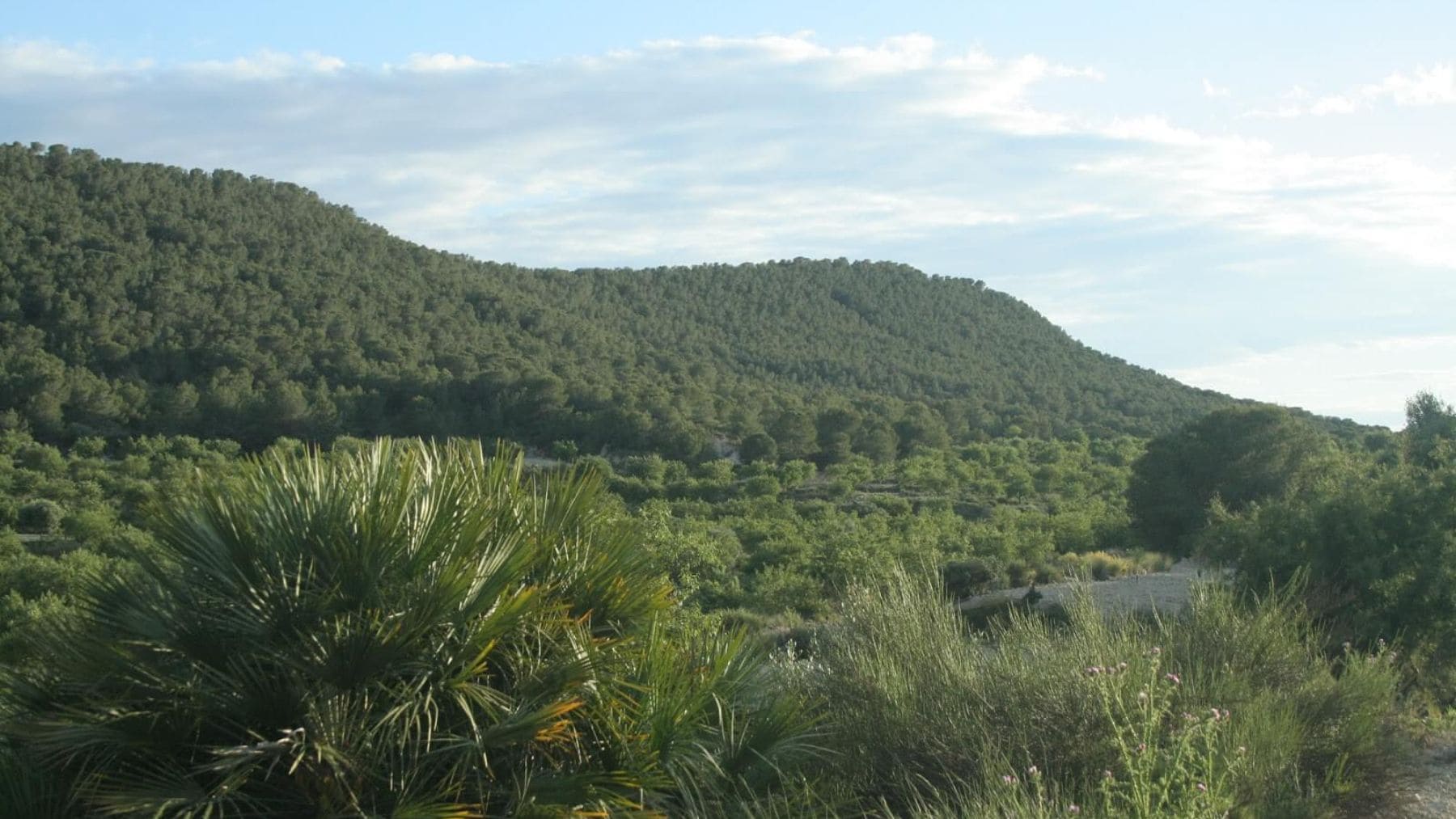 Parque Natural Sierra de Escalona: el verdadero reto empieza ahora