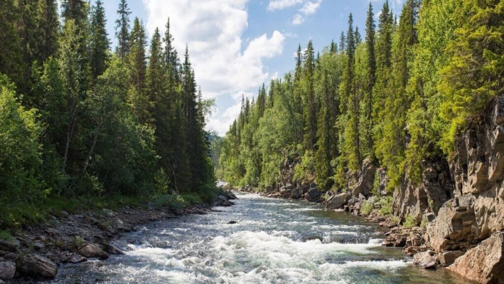Plan Nacional de Restauración de la Naturaleza: España envía a Bruselas un proyecto que todavía oculta a la ciudadanía – ECOticias.com