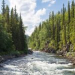 Plan Nacional de Restauración de la Naturaleza: España envía a Bruselas un proyecto que todavía oculta a la ciudadanía