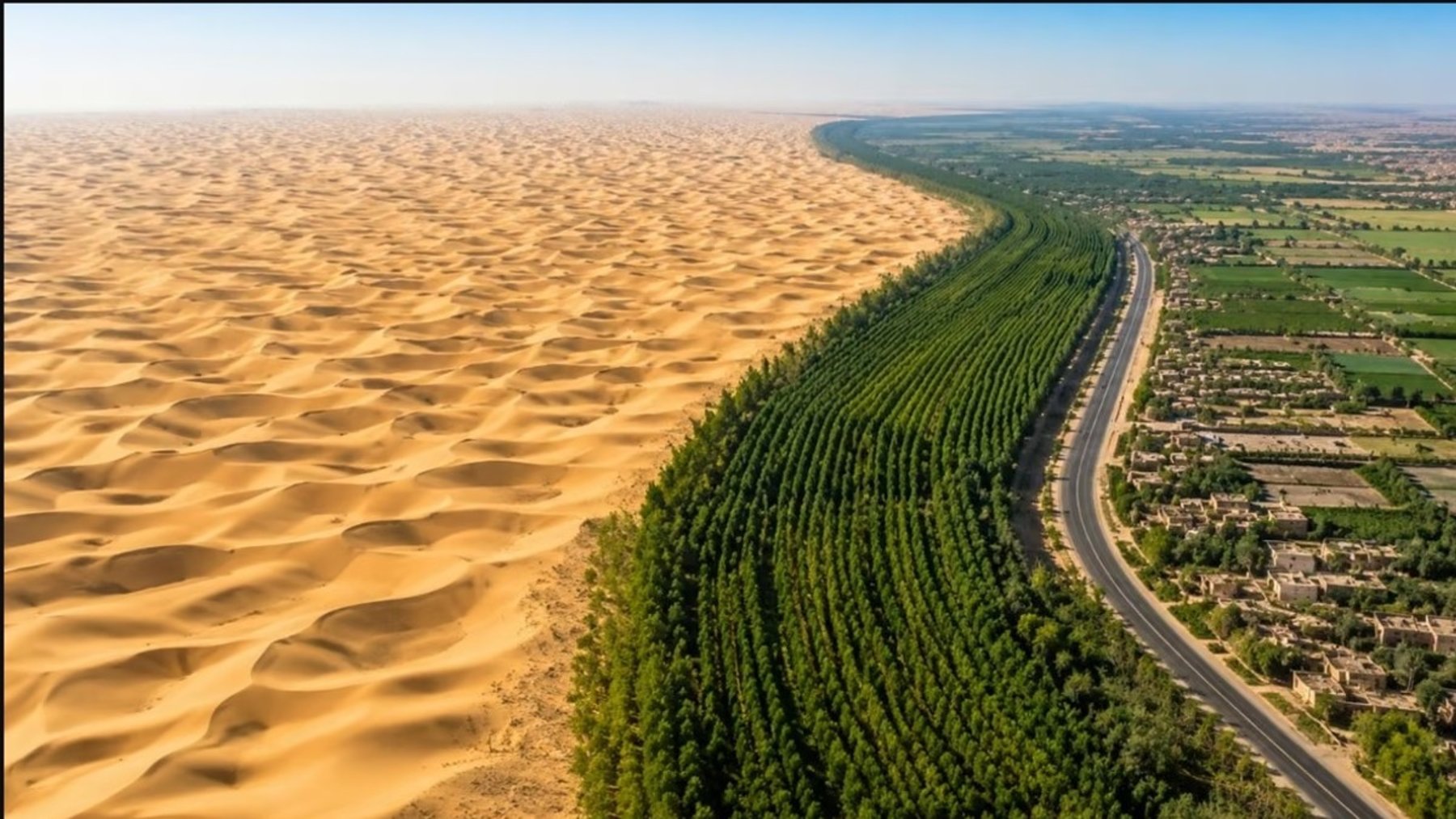 Plantaban millones de árboles contra el desierto y casi todos morían, hasta que un agrónomo miró bajo el suelo de Níger y encontró un bosque escondido