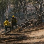 Restaurar el incendio de Niebla costará 404 millones