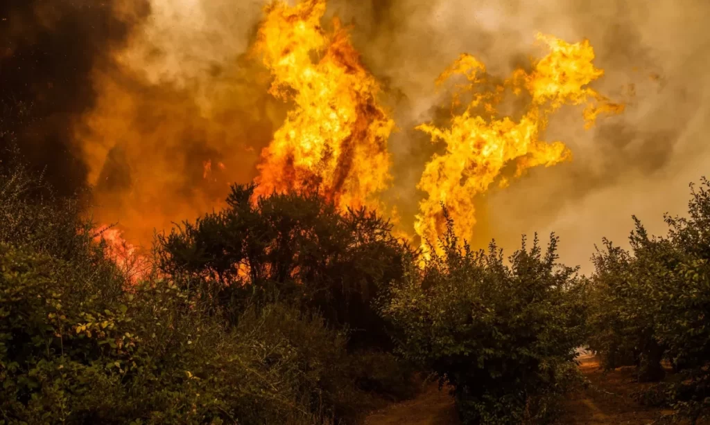 76% de los chilenos espera que el Gobierno aumente su acción frente al medio ambiente