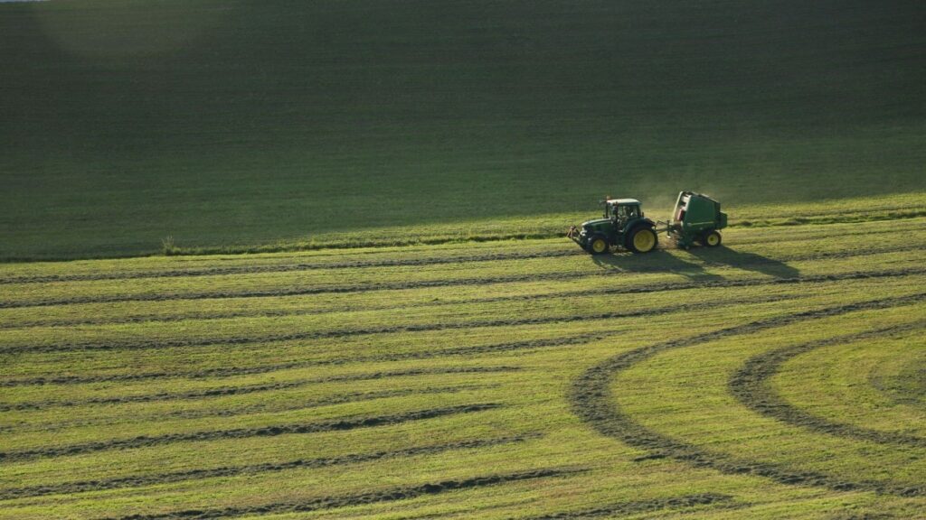 Agricultura ecológica: IFOAM alerta de un retroceso en la futura PAC y reclama apoyo obligatorio