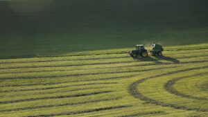 Agricultura ecológica: IFOAM alerta de un retroceso en la futura PAC y reclama apoyo obligatorio