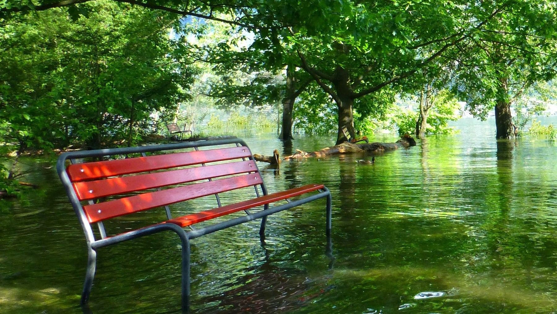 Alertas de inundación: salvan vidas, pero tienen un límite