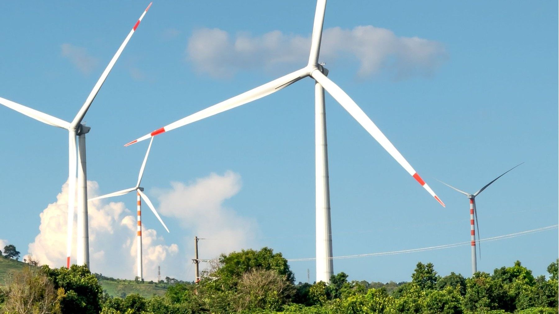 COP31: España defiende una electrificación con renovables para acelerar el abandono de los combustibles fósiles