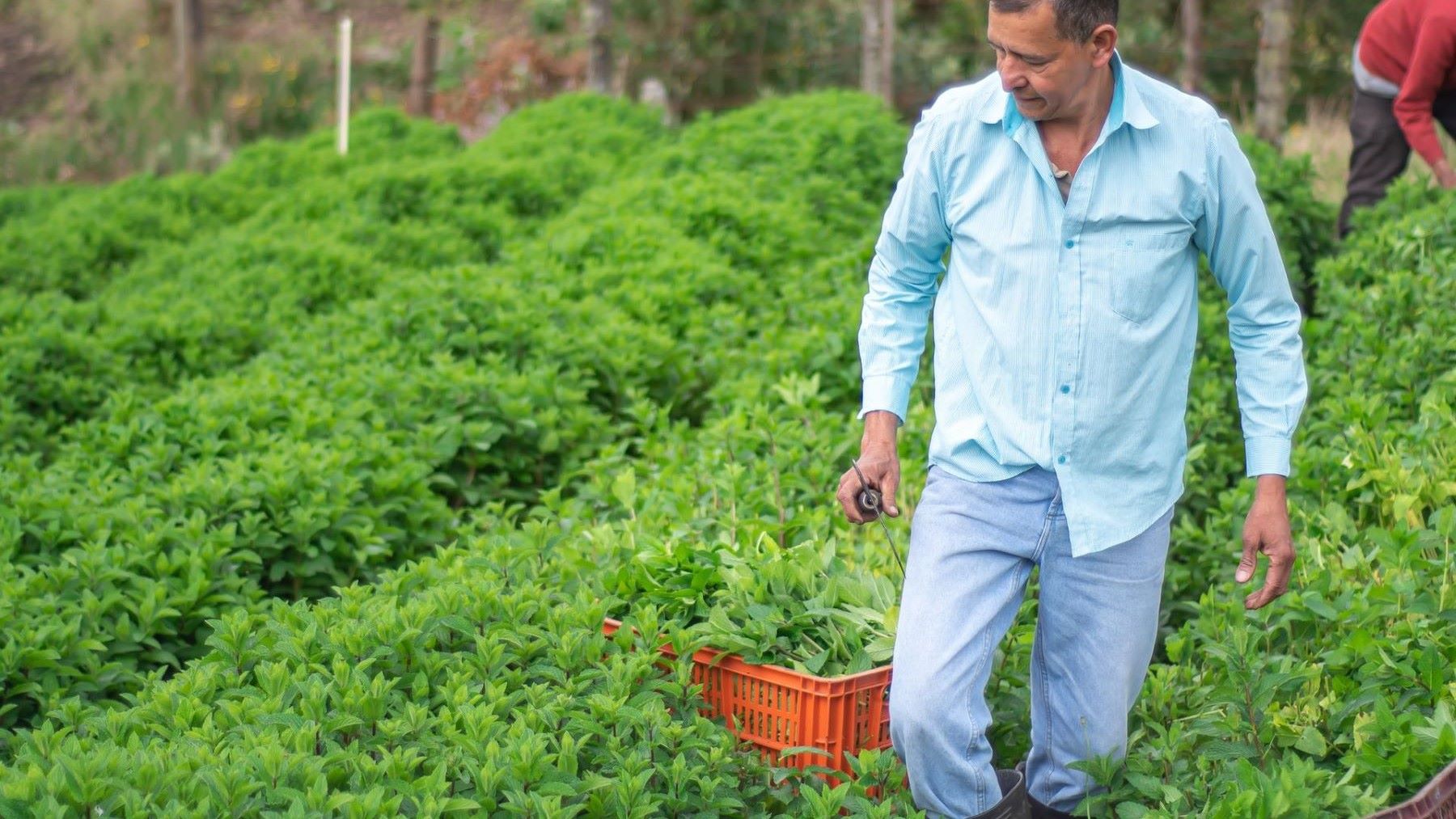 Congreso Europeo de Agricultura Ecológica 2026: el sector reclama apoyo en la futura PAC