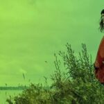 Contrato social verde: la exigencia ecologista ante el 29-N