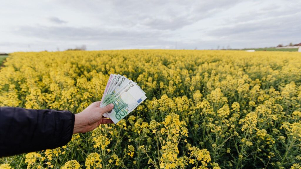 Costes agrarios: Greenpeace pide reducir la dependencia del gasóleo y los fertilizantes para aliviar al campo