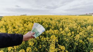 Costes agrarios: Greenpeace pide reducir la dependencia del gasóleo y los fertilizantes para aliviar al campo