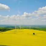 El 91 % de directivos ve la transición verde como ventaja