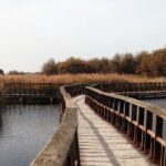 El agua subterránea en Daimiel baja pese al segundo año más lluvioso de la década