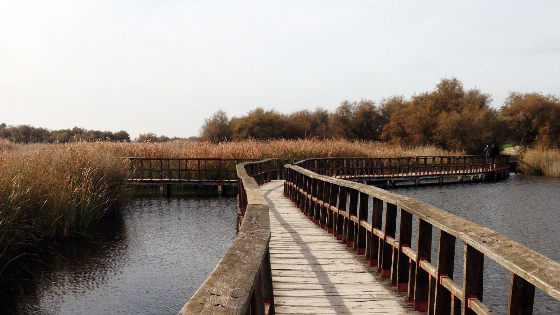 El agua subterránea en Daimiel baja pese al segundo año más lluvioso de la década