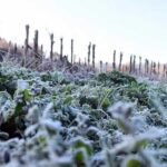 El tiempo hoy jueves 8 de octubre en España: lluvias, bajada de las temperaturas y primeras heladas
