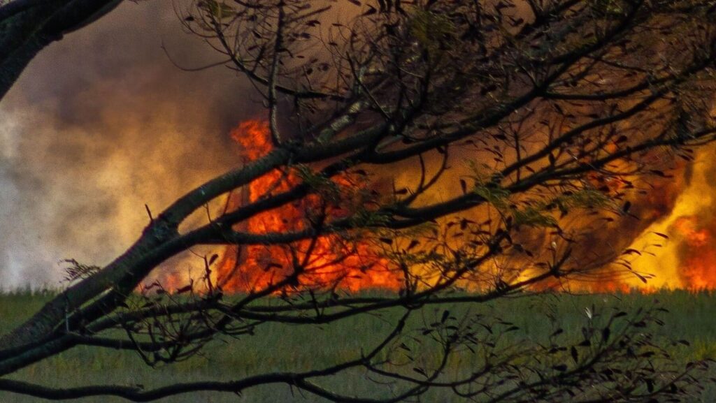 España supera las 300.000 hectáreas quemadas por incendios: más del triple de la media