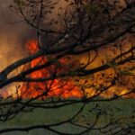 España supera las 300.000 hectáreas quemadas por incendios: más del triple de la media
