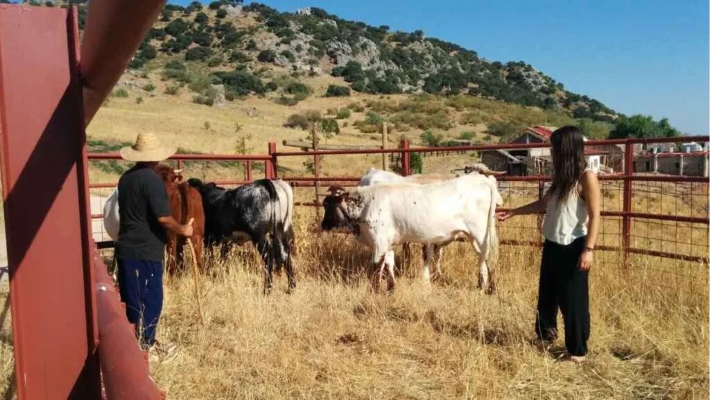 Finca Agroecológica Maraver: ‘El progreso no debería medirse solo por cuánto somos capaces de producir, sino también por lo que somos capaces de conservar’