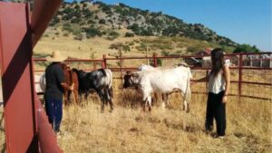 Finca Agroecológica Maraver: ‘El progreso no debería medirse solo por cuánto somos capaces de producir, sino también por lo que somos capaces de conservar’