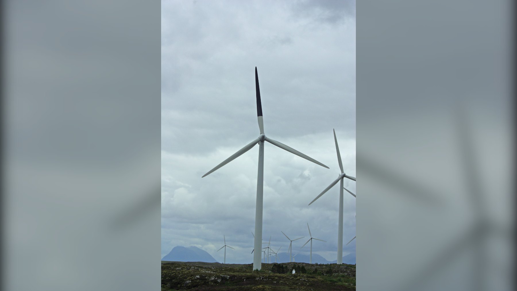 Investigadores pintaron de negro una sola pala de cuatro aerogeneradores en la isla noruega de Smøla y la mortalidad de aves bajó un 71,9 %, pero un ensayo posterior en Países Bajos no logró repetir el resultado