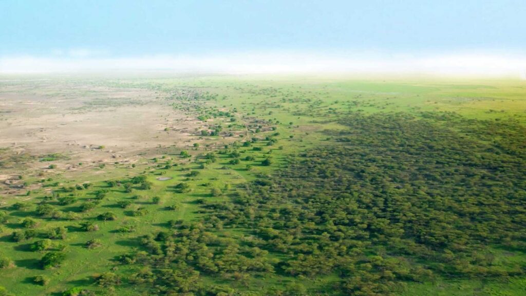 La Gran Muralla Verde recibe 78 millones de dólares para restaurar tierras en nueve países africanos