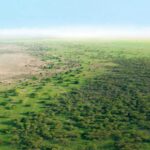 La Gran Muralla Verde recibe 78 millones de dólares para restaurar tierras en nueve países africanos