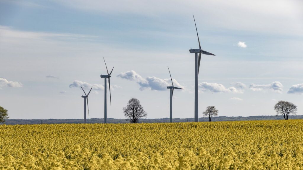 Las energías renovables suman el 90 % de la nueva capacidad eléctrica, pero IRENA urge a reforzar las redes