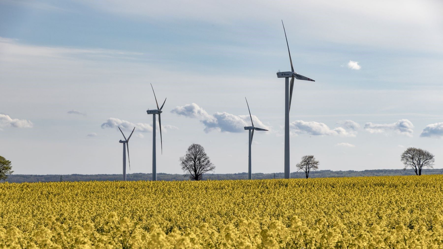 Las energías renovables suman el 90 % de la nueva capacidad eléctrica, pero IRENA urge a reforzar las redes